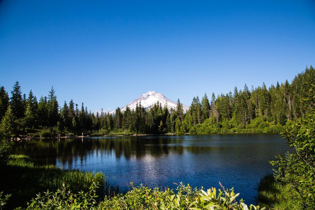 Mount Hood Village Premium Yurt 4 Welches Zewnętrze zdjęcie